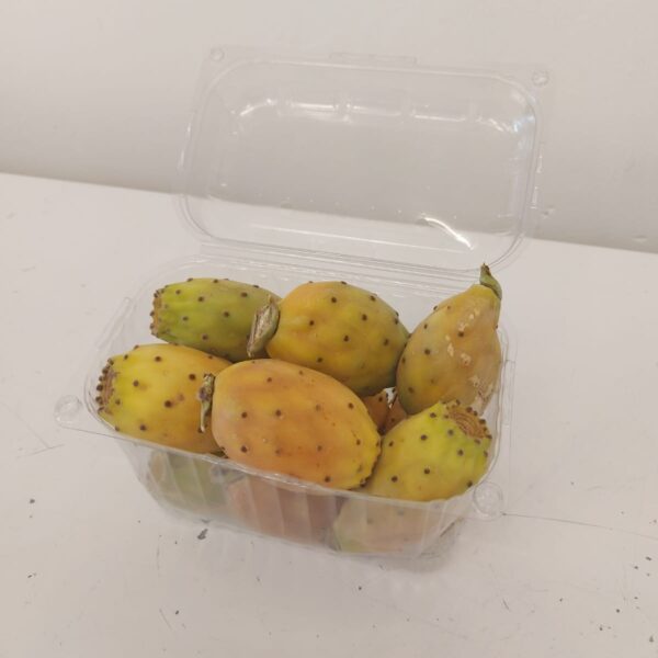 Prickly Pears ( Bajtar tax-xewk)
